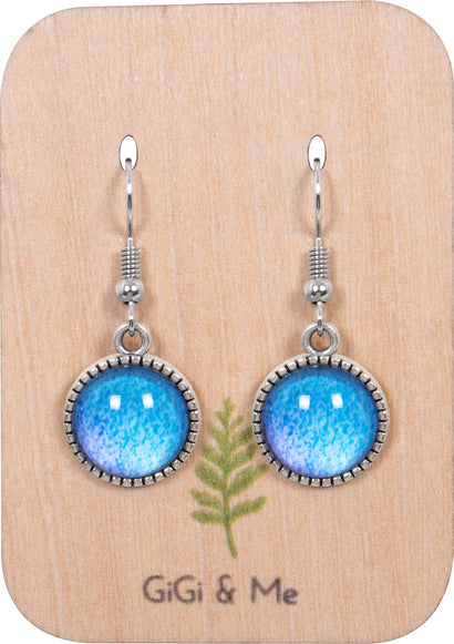 Ombre Drop Earrings in Ornate Silver - EDOS020