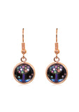 Spring Time Blossoms Drop Earrings in Rose Gold - EDRG014