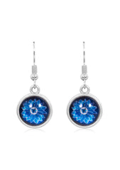 Bright & Beautiful Drop Earrings in Vintage Silver - EDVS015