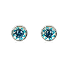 Feeling Festive Stud Earrings in Silver - ESS064