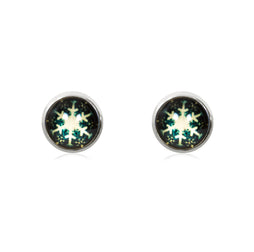 Feeling Festive Stud Earrings in Silver - ESS099